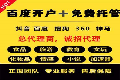 某某sem代运营公司助力企业实现线上营销目标